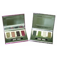 Designer Skin Eye Shadow Eye Pallet 4 Cool Colors  .17z